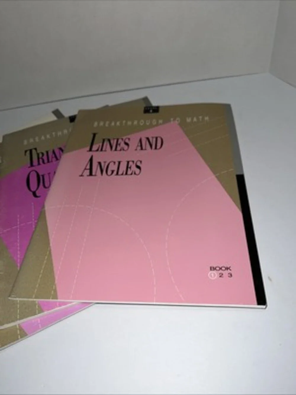 Breakthrough To Math Level 4 Set With Workbook (drawn On Back)